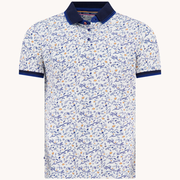 A Fish Named Fred – Polo – Citrus Multicolor Blue